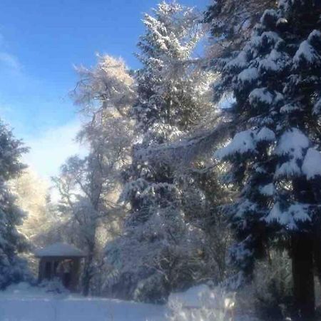 The Beeches Studio, Highlands Of Scotland Newtonmore Exteriér fotografie