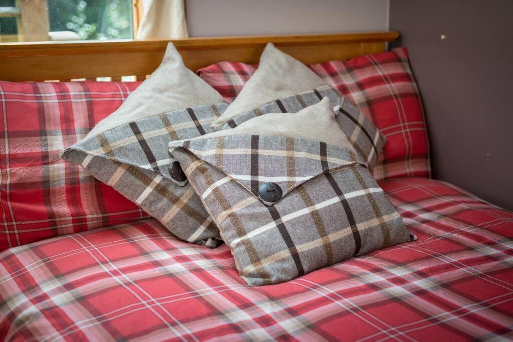 The Beeches Studio, Highlands Of Scotland Newtonmore Exteriér fotografie