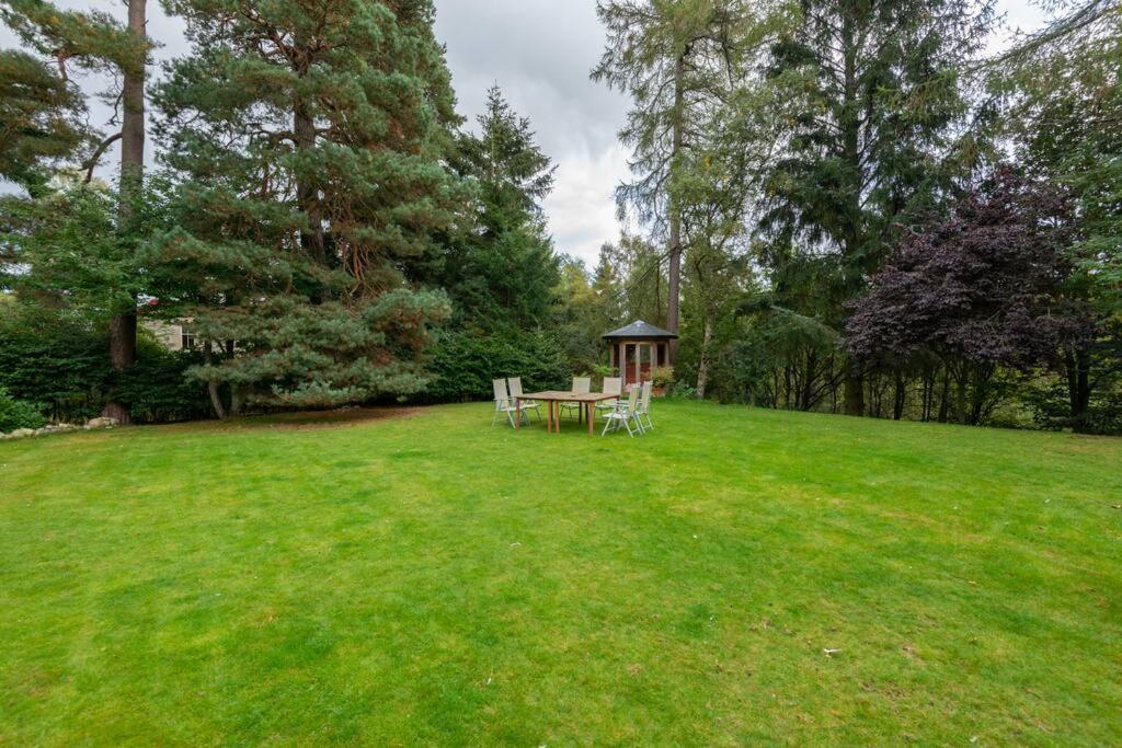 The Beeches Studio, Highlands Of Scotland Newtonmore Exteriér fotografie