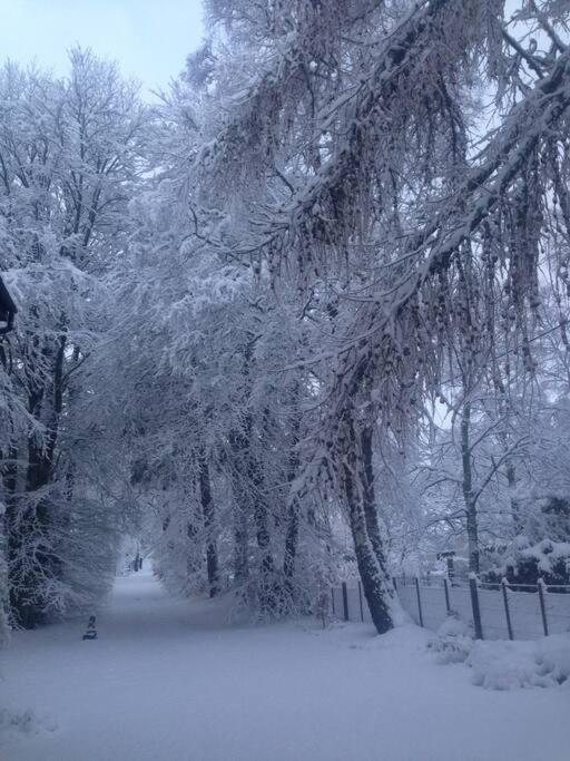 The Beeches Studio, Highlands Of Scotland Newtonmore Exteriér fotografie