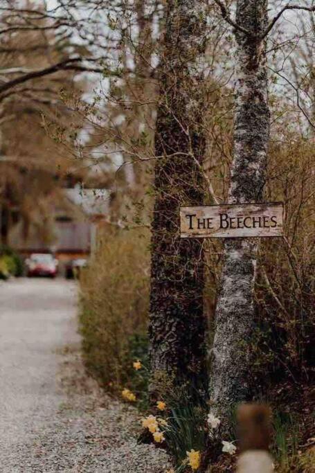 The Beeches Studio, Highlands Of Scotland Newtonmore Exteriér fotografie