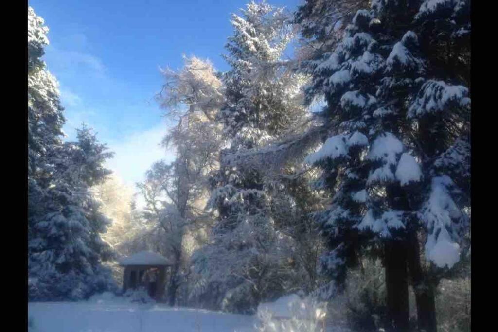 The Beeches Studio, Highlands Of Scotland Newtonmore Exteriér fotografie
