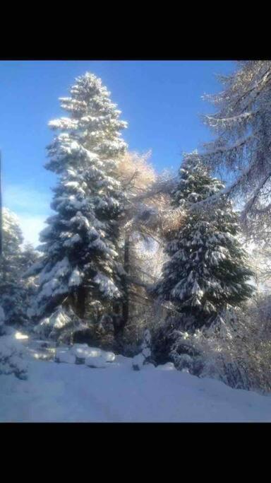 The Beeches Studio, Highlands Of Scotland Newtonmore Exteriér fotografie